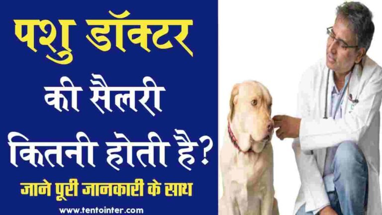 veterinary doctor ki salary kitni hoti hai